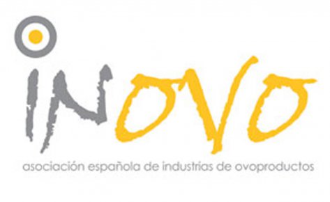 inovo necesita diseño creativo y elige believe