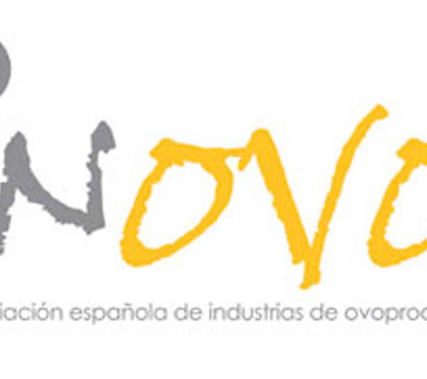 inovo necesita diseño creativo y elige believe